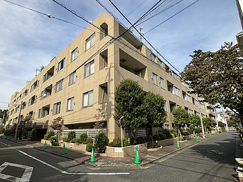 サンフル碑文谷碑さくら通りサウスサイド